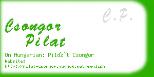 csongor pilat business card